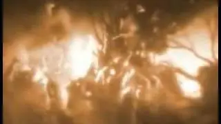 DESCENTION Fist of legend