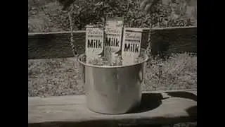 VINTAGE EARLY 60's BORDEN'S MILK COMMERCIAL - PETER GRAVES & BOBBY DIAMOND