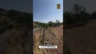 ASJ 314🌾 7 एकर शेतजमीन विकणे आहे  #propertypatrika #realestate