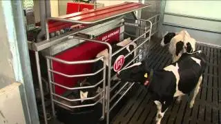 Lely - A sustainable, profitable and enjoyable future in farming
