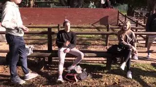 Westerford Matrics Return To School