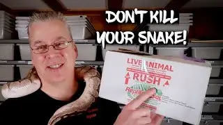How to Ship your Snake - Without Killing It!