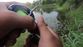 Daiwa Tatula sv tw 2020