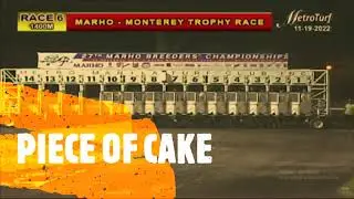 PIECE OF CAKE RACE NOVEMBER 19 2022 - f m Raquel