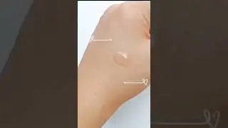 HOLY GRAIL SERUM 
