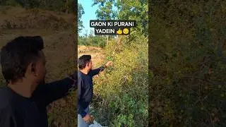 Gaon Ki Yaadein Taza Ho Gayi 🌿 | Bachpan Ka Jangal Aur Paltu Janwar | #VillageLife #vlog #minivlog