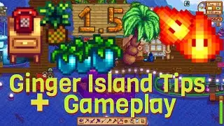 Ginger Island Tip Gameplay || 150 Magma Sprites-Stardew 1.5