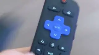 Newer Voice Activated Remote:  You can use it to check battery life on AAA batteries... sort of 2022