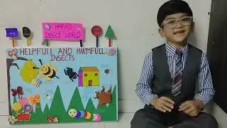 School project on helpful insect and harmful insects, best speech on insects to learn,kids projects