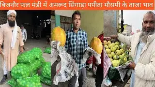 जिला बिजनौर फल मंडी में देसी अमरूद सिंघाड़ा मौसमी पपीता का ताजा भाव क्या चल रहा है || RED FISH NEWS