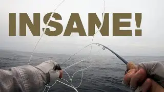 INSANE TEASE and EAT Sailfish Fly Fishing in Kuala Rompin Malaysia
