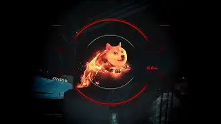 Doge.exe has stopped working