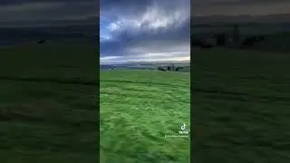 Who is the fastest dog