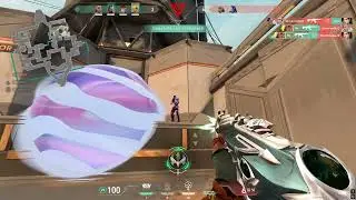 vimo aim 10