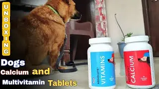 Dogs Calcium and Multivitamins Tablets | Drools | Pets Health | Solution For Dogs Weak Health