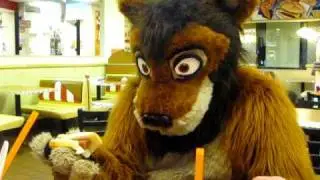 Kijani Lion's Fast Food Nomz!