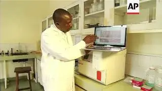 First case of tuberculosis in a wild elephant in Kenya