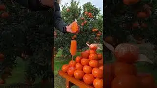 Fruit maker86 😋,, orange juice 🥤🍊🍎🍑#frui#fruitsworld