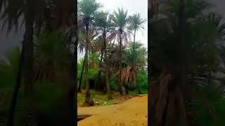 #sedata #bhuj village