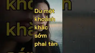 Từ C&ocirc;ng Phụng- Mắt Lệ Cho Người | Healing #thaolofi | Zen & Life #Shorts