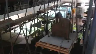 Horniman Museum and Gardens: Moving our walrus