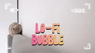 𝐏𝐥𝐚𝐲𝐥𝐢𝐬𝐭 
