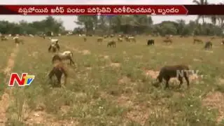 Central Team to Visit Drought Hit Areas in Chittoor District || NTV