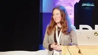 Collapsing Clouds of Dust - The Skunk Works Approach to Cultivating a Software-driven Organization