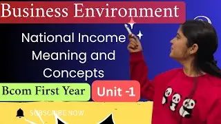 National Income meaning and Important concepts| Business Environment Unit 1 Bcom Mcom BBA chapter 2