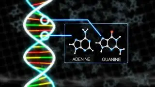 DNA Building Blocks Can Be Made in Space