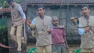 rescue Indian spectacled cobra venomous snake maaz sayed sirsi 91+6364660978