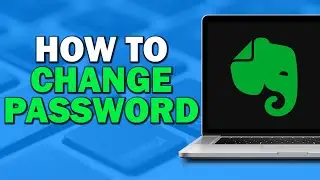 How To Change Password in Evernote (Quick Tutorial)