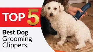 Top 5 Best Dog Grooming Clippers of 2026