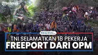 Operasi Senyap TNI Selamatkan 18 Pekerja Freeport dari Ancaman OPM di Mimika
