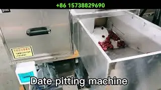 Automatic date pitting machine