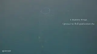 บัํบเบิ้ลริง (Bubblering) เป่าฟอง เรื่อง คูลๆ ของ freediver . . . 1ลูก มันธรรมดาไปแล้ว