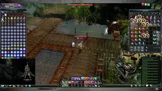 Cabal Online NA :999 Merit medal and 32 pcs pet untrain kit