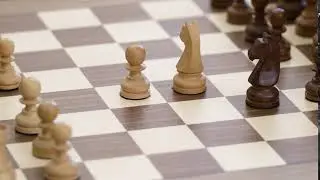 Chess 19598