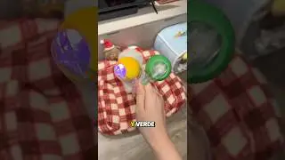 La Pelota rodante para perro mantiene a tu perro activo sin esfuerzo 🐶⚡