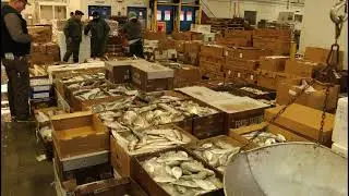 Late Night at the Fulton Fish Market