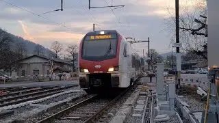 arriv&eacute;e d'une RABe 523 