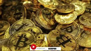 BITCOIN LOGO REVEAL  Free Download After Effects Templates