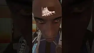 AFK Teammates in Siege be like...