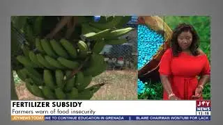 Fertilizer Subsidy: Farmers warn of food insecurity - Joy News Today (10-3-22)