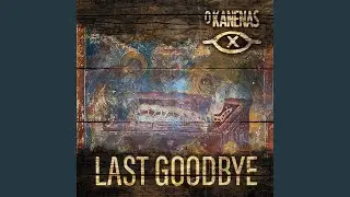 The Last Goodbye