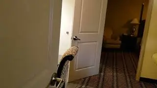 Inside the Upscale Suite Hotel of Lafayette, LA