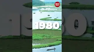 India&rsquo;s Floating National Park 🏞️