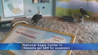 National Eagle Center Secures $8 Million For Expansion