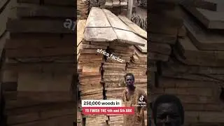 Ghanaian Noah builds Ark preparing for massive flooding