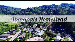 Tamalpais-Homestead Valley